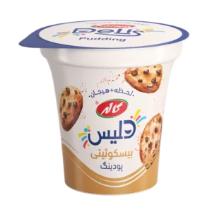 پودینگ بیسکوییتی