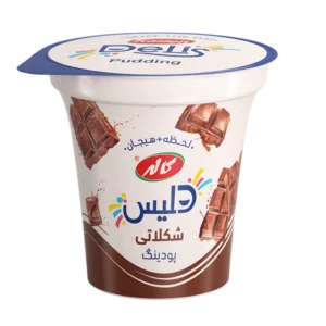 پودینگ شکلاتی