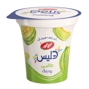 پودینگ طالبی