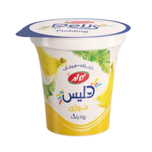 پودینگ موزی