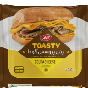 گودا ورقه ای