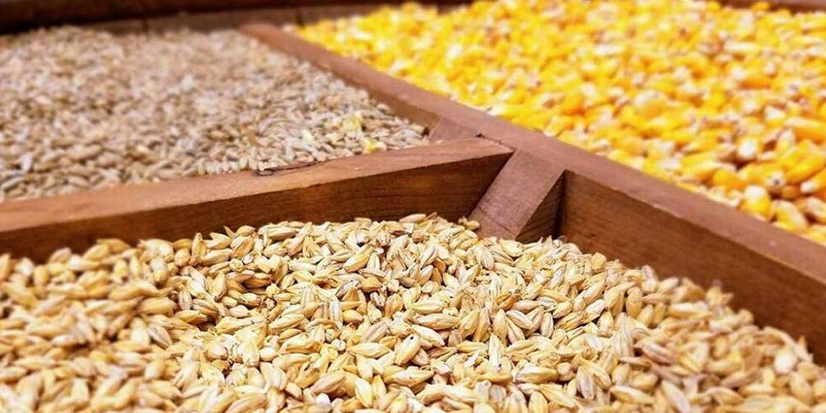 وزارت جهاد کشاورزی قیمت ارزی نهاده های دامی،دانه سویا و روغن خام وارداتی مصوبه ۱۹ مردادماه را اعلام کرد